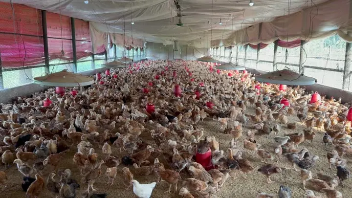 UnnatFarm success story